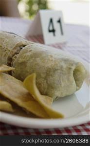 Close-up of burrito and chips