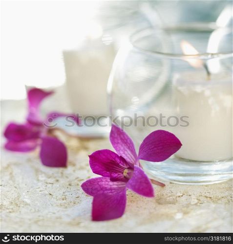Close up of candles and purple orchids.