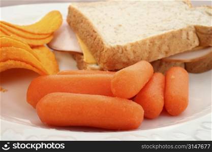 Close up of carrots with turkey sandwich and chips in background.