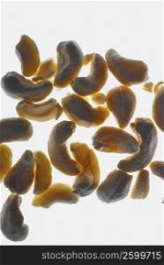 Close-up of cashews