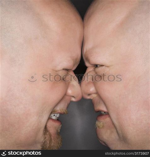 Close up of Caucasian bald mid adult identical twin men standing face to face with angry expression.