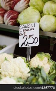 Close-up of cauliflowers and cabbages in a vegetable store