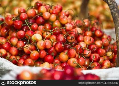 Close-up of cherries, Tai&acute;an, Shandong Province, China