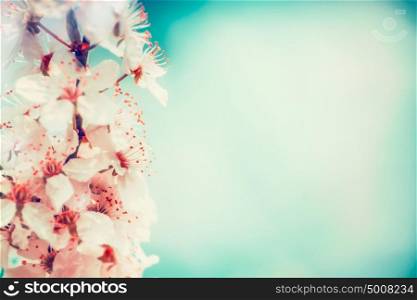 Close up of cherry blossom at turquoise blue sky background