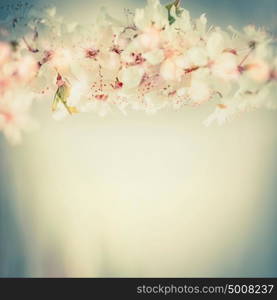 Close up of cherry blossom, springtime floral border in pastel color