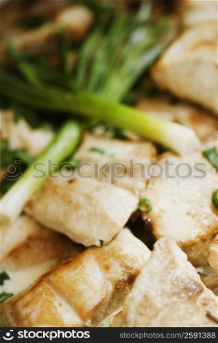 Close-up of chicken and leek