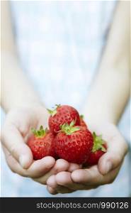 Close Up Of Child Holding Fresh Strawberries