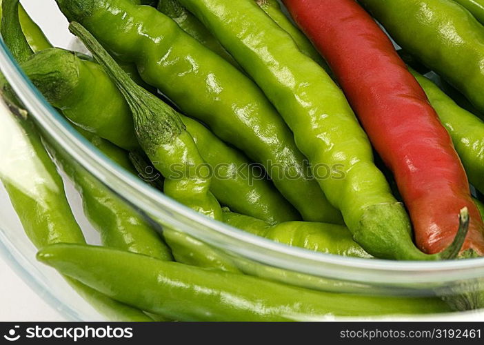 Close-up of chili peppers in a bowl