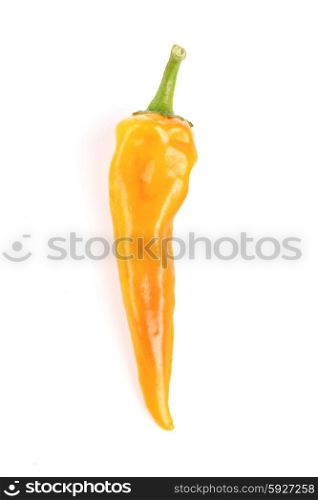 Close-up of chilli pepper on white background