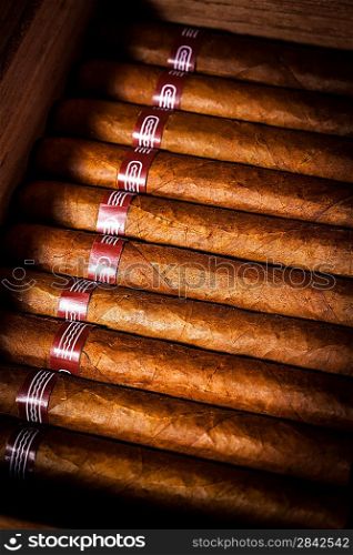 Close up of cigars in open humidor box