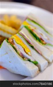 close up of club sandwich with french fries on dish. club sandwich