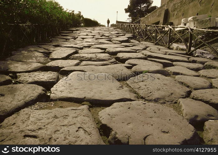 Close-up of cobblestone path, Appian Way, Rome, Italy