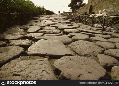 Close-up of cobblestone path, Appian Way, Rome, Italy