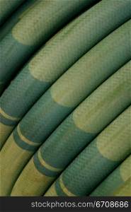 Close-up of coiled green hose
