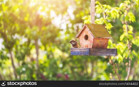 Close up of colorful wooden birdhouse hanging in the own garden, summertime