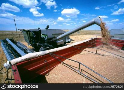 Close-up of Combine loading harvested wheat into truck. Cheyenne, WY