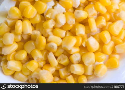 Close up of corn seeds background