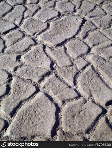 Close-up of cracks on dry mud