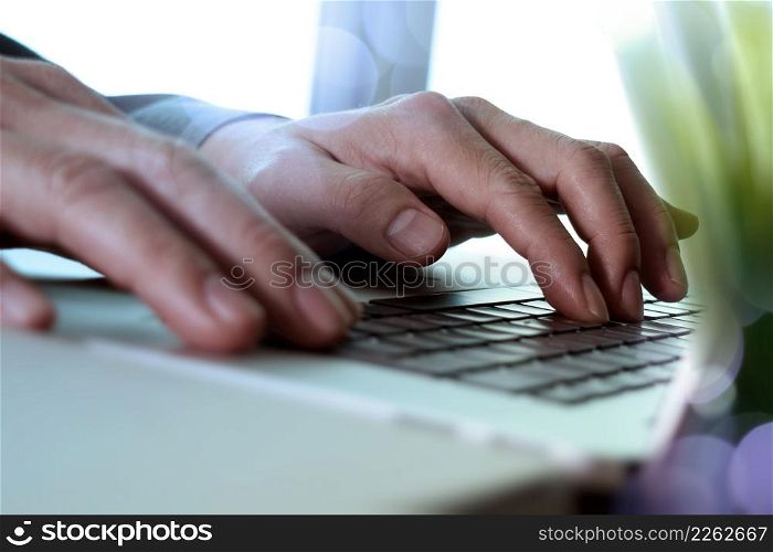 close up of designer hand working laptop with green plant foreground on wooden desk in office