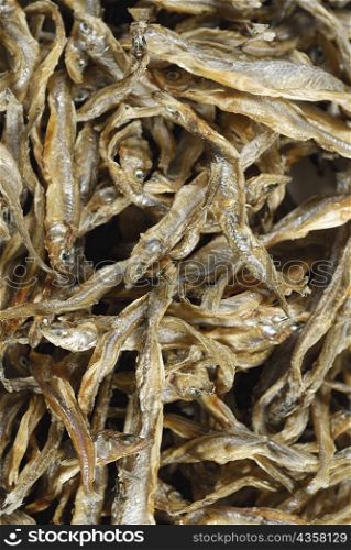Close-up of dried fish