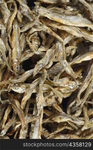 Close-up of dried fish