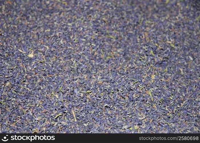Close up of dried lavender flowers at a French market