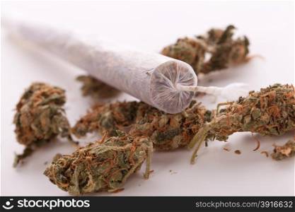 Close up of dried marijuana leaves and joint. Close up of dried marijuana leaves and tied end of marijuana joint with translucent rolling paper on white background