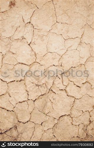 close up of dried out ground to use as a background
