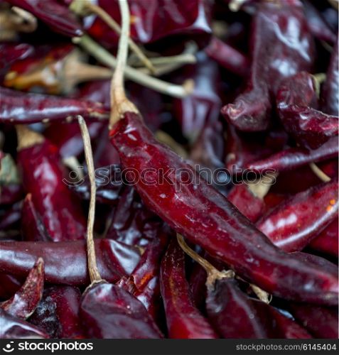 Close-up of dried red chili peppers, Centro, Dolores Hidalgo, Guanajuato, Mexico