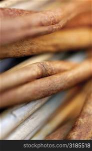 Close-up of dried sticks