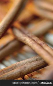 Close-up of dried sticks