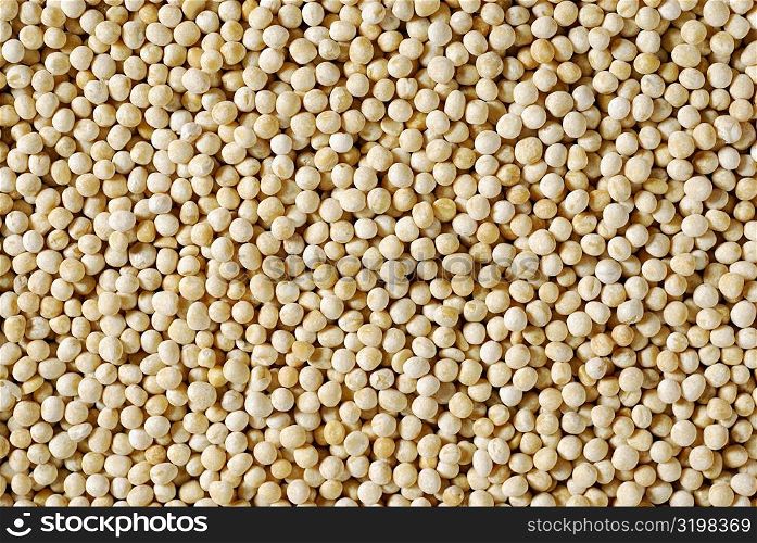 Close-up of dry peas