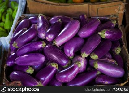 Close-up of eggplants at a vegetable stand