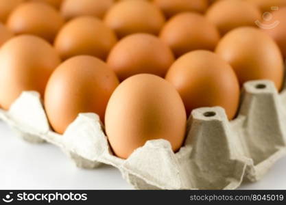 Close up of Eggs in paper tray