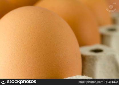 Close up of Eggs in paper tray
