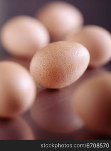Close-up of eggs on a table