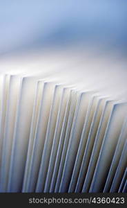 Close-up of envelopes in a row