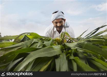 Close up of farmer working in field