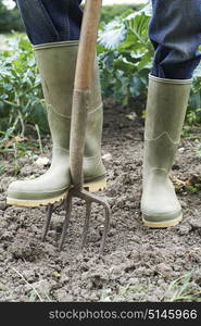 Close Up Of Farmer Working In Organic Farm Field