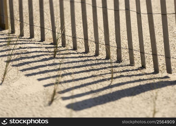 Close-up of fence and shadows on beach Bald Head Island, North Carolina.