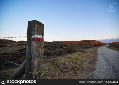 close up of fence post in national park in the Netherlands