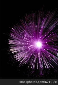 Close-up of fiber optics