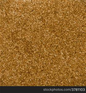 Close up of flaxseed linseed as brown food background or grain texture. Diet and nutrition. Square format.
