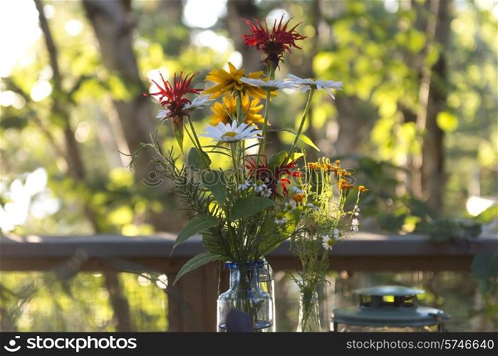 Close-up of flowers in a vase, Lake of The Woods, Ontario, Canada