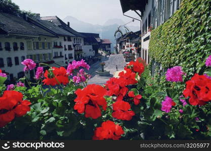 Close-up of flowers in front of a hotel, Gruyeres, Switzerland