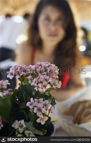 Close-up of flowers with a mid adult woman in the background