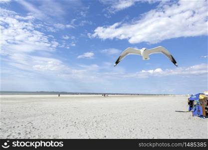 Close up of flying white seagull against blue sky. Sunny day on white sand beach. People walking along sea coast in background. Summer vacation concept.