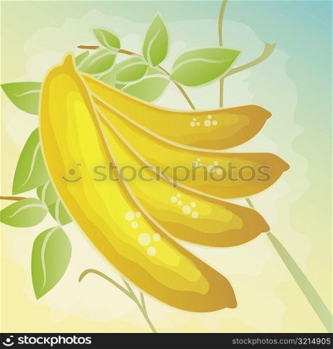 Close-up of four bananas