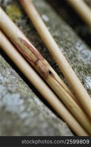 Close-up of four sticks
