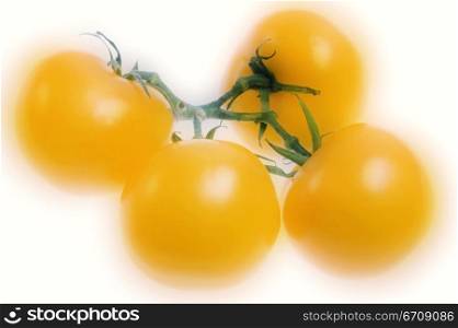 Close-up of four tomatoes
